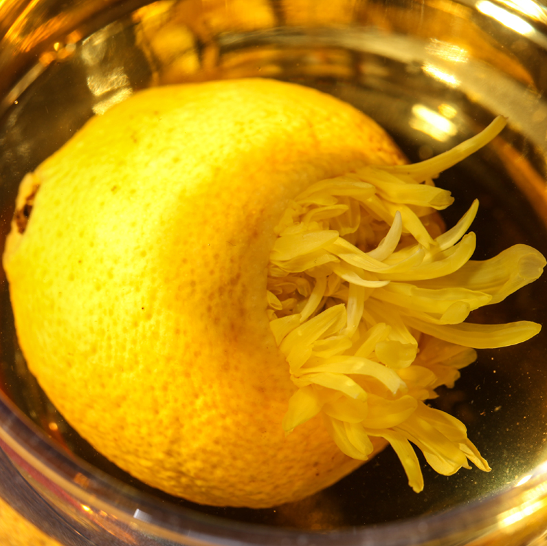 lemon & chrysanthemum ancient tree red tea