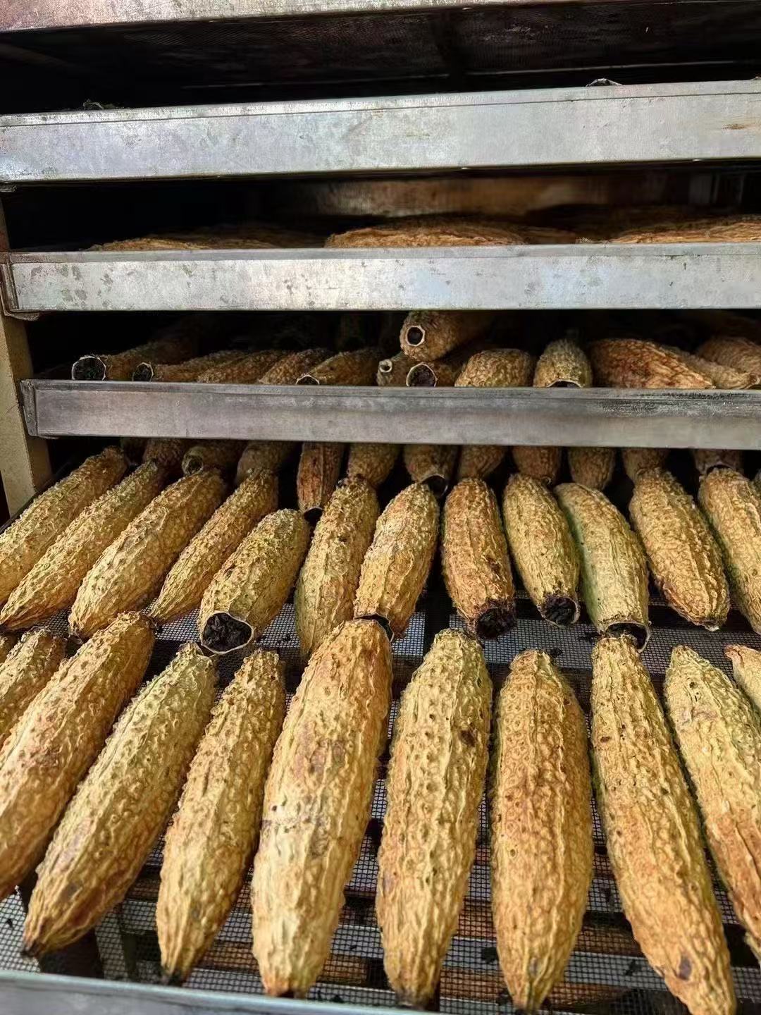 bitter melon oolong tea