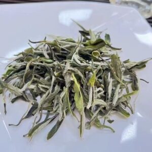 wilderness white peony