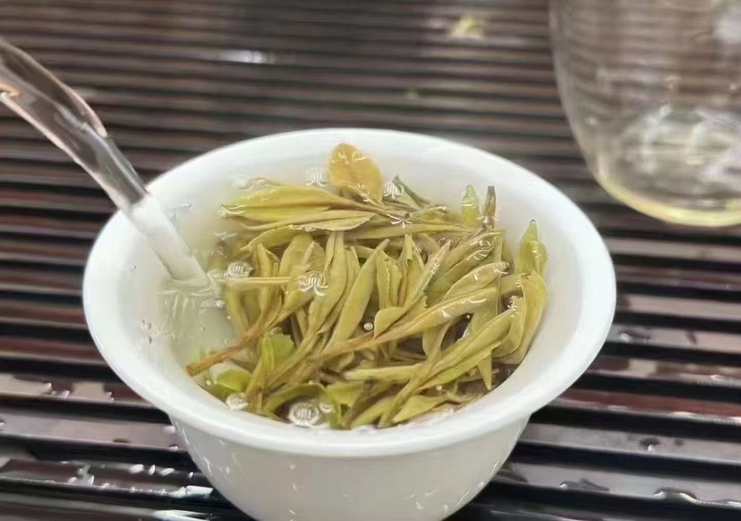 wilderness white peony