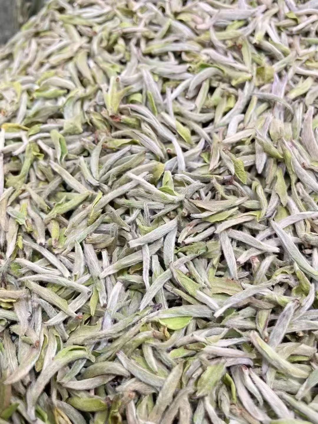 wilderness silver needle white tea wilderness silver needle white tea