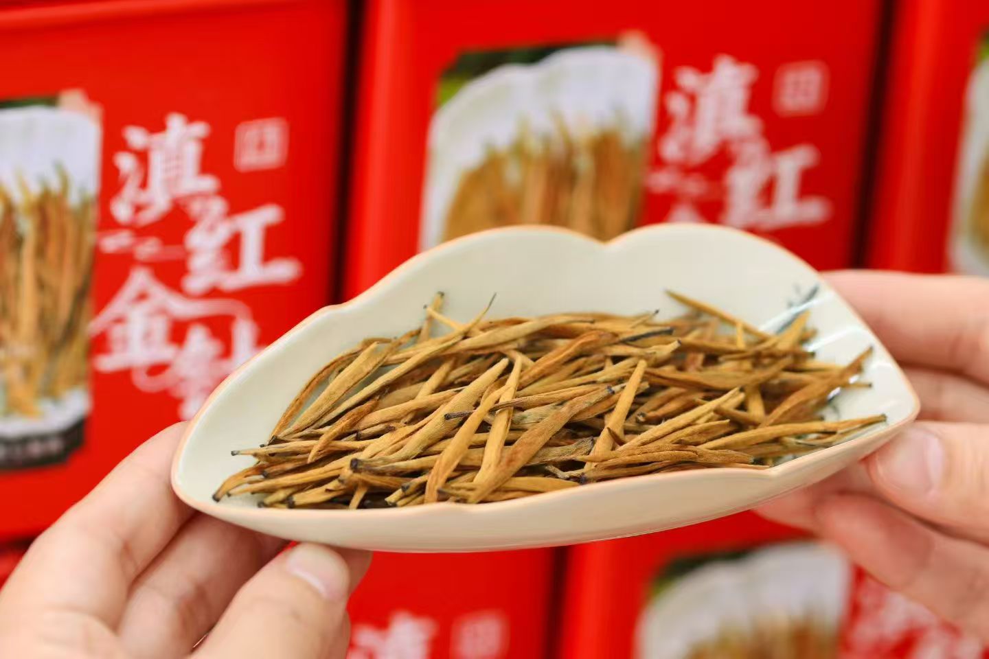 auto draft auto draft