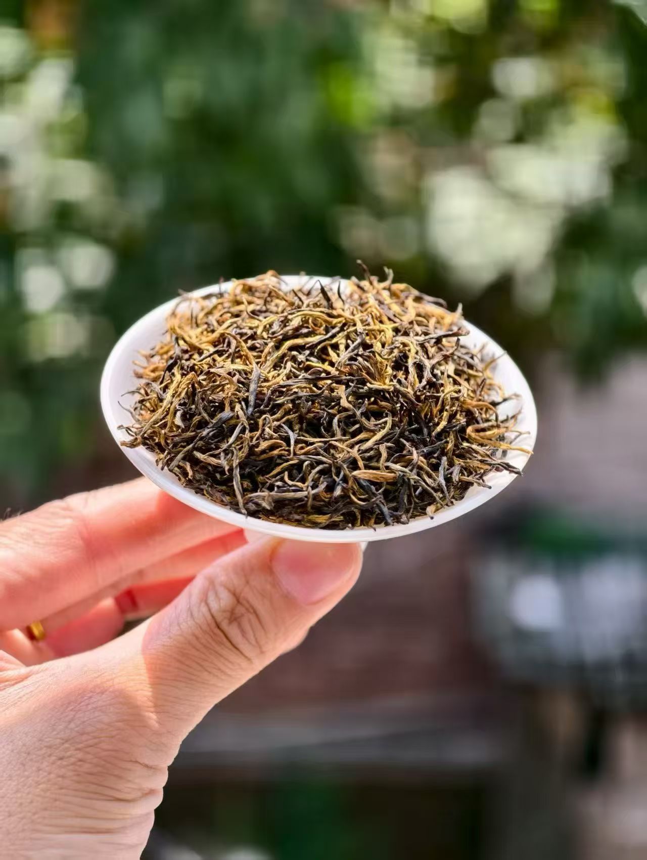 auto draft auto draft