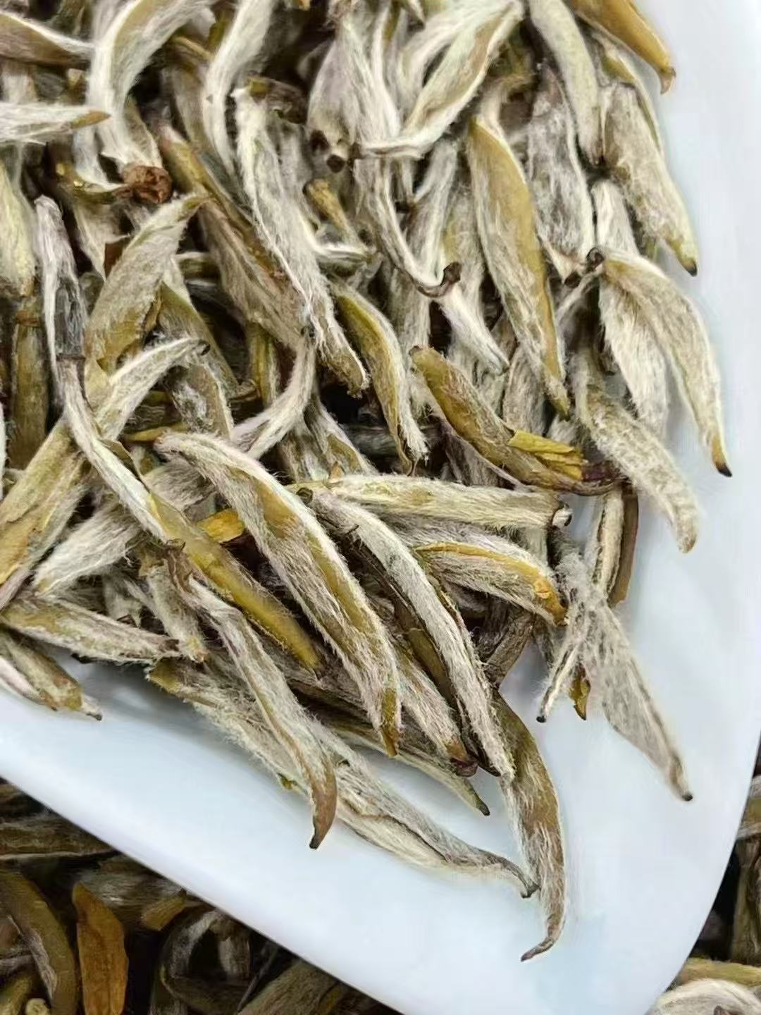 Super Grade Jasmine Silver Needle auto draft