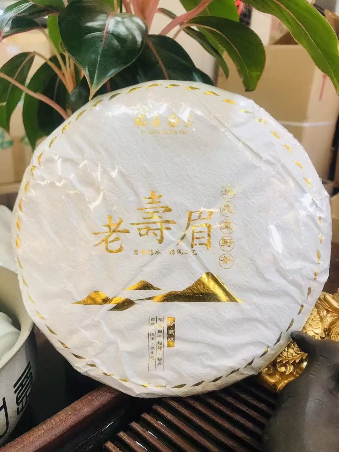 2014 wilderness aged shou mei white tea 2014 wilderness aged shou mei white tea