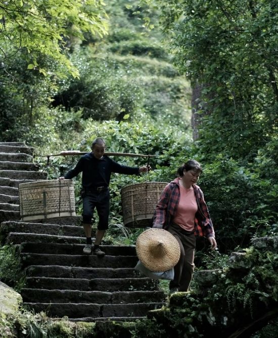 微信图片 20260318164522 101 6