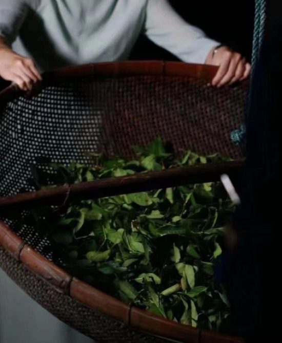 微信图片 20260318164531 107 6