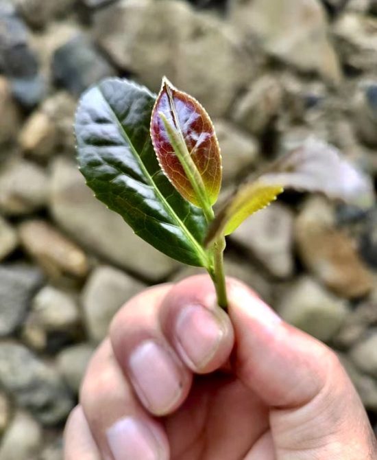 微信图片 20260318164534 110 6