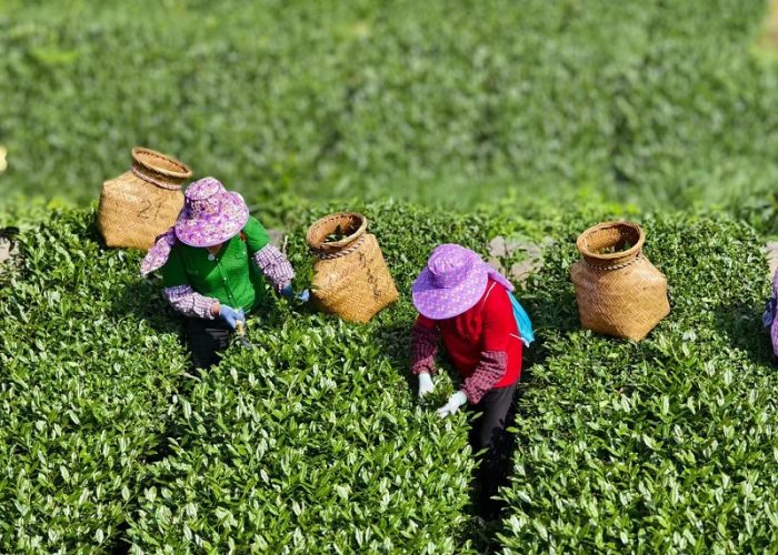 微信图片 20260318164541 116 6