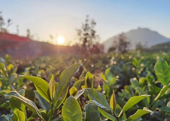 微信图片 20260318164608 131 6