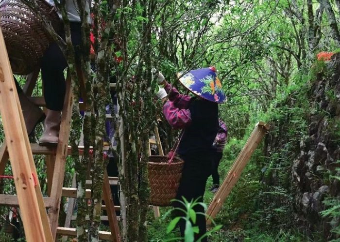 微信图片 20260318164633 141 6