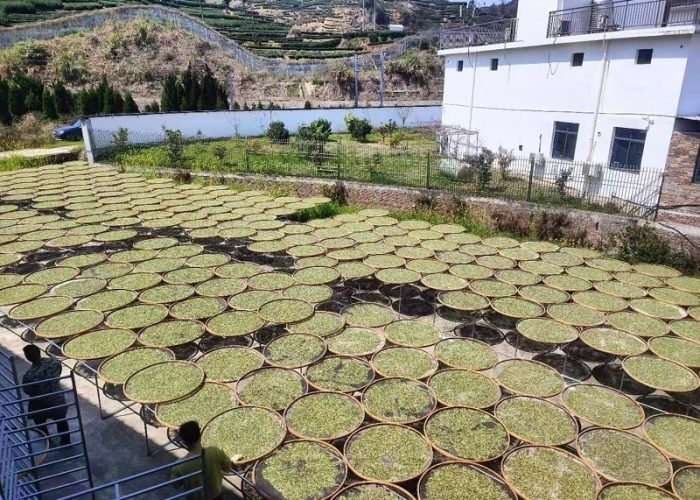 微信图片 20260318164647 147 6